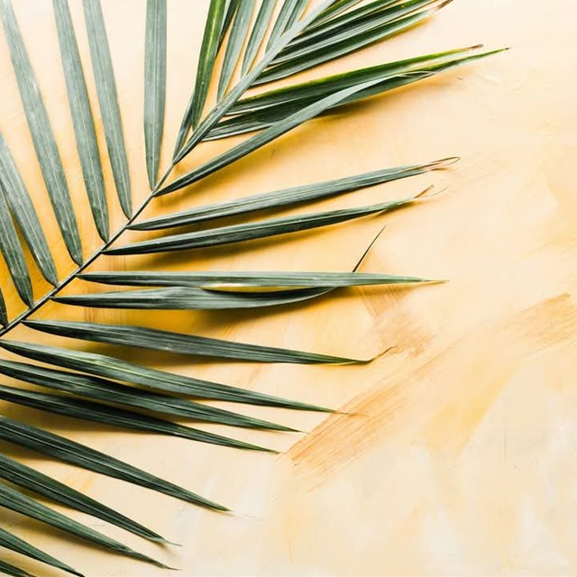 Palmesøndag 2025 Søndag 13. april Kl.11.00: GUDSTJENESTE