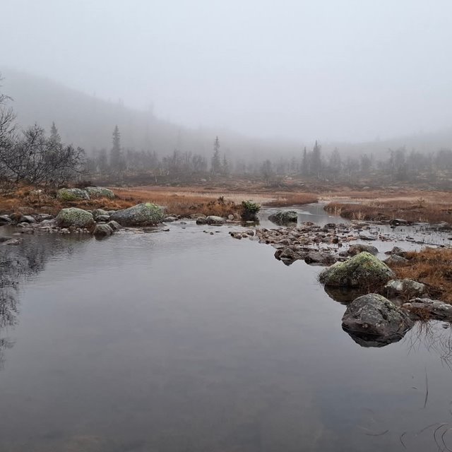 Søndag 26. oktober KL.11.00: GUDSTJENESTE