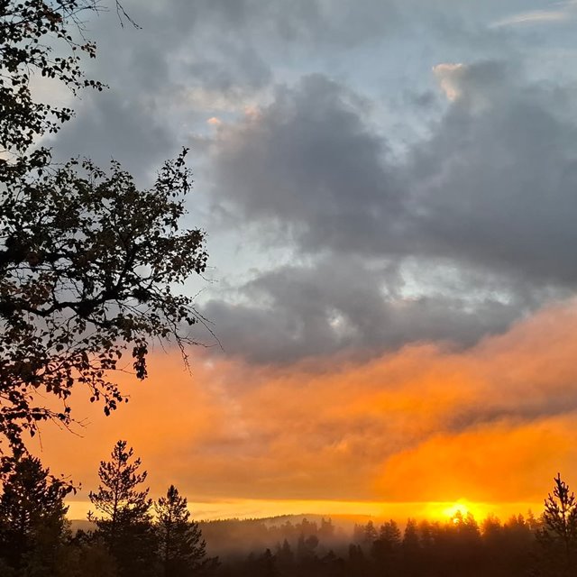 Søndag 14. september 2025 Kl. 18.00: SINNSROGUDSTJENESTE