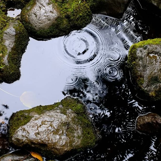 Åpen kirke og Ord for dagen