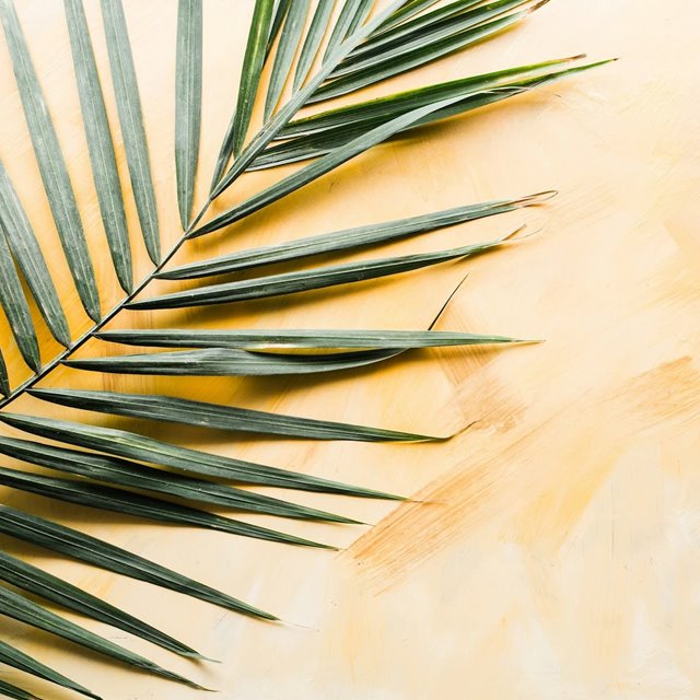 Søndag 29. mars KL.11.00: Velkommen til gudstjeneste  Palmesøndag. 