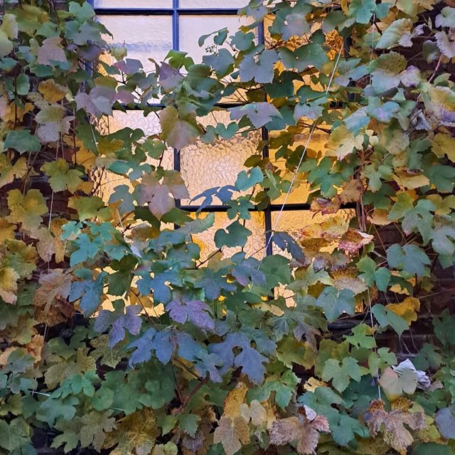 Åpen kirke og Ord for dagen