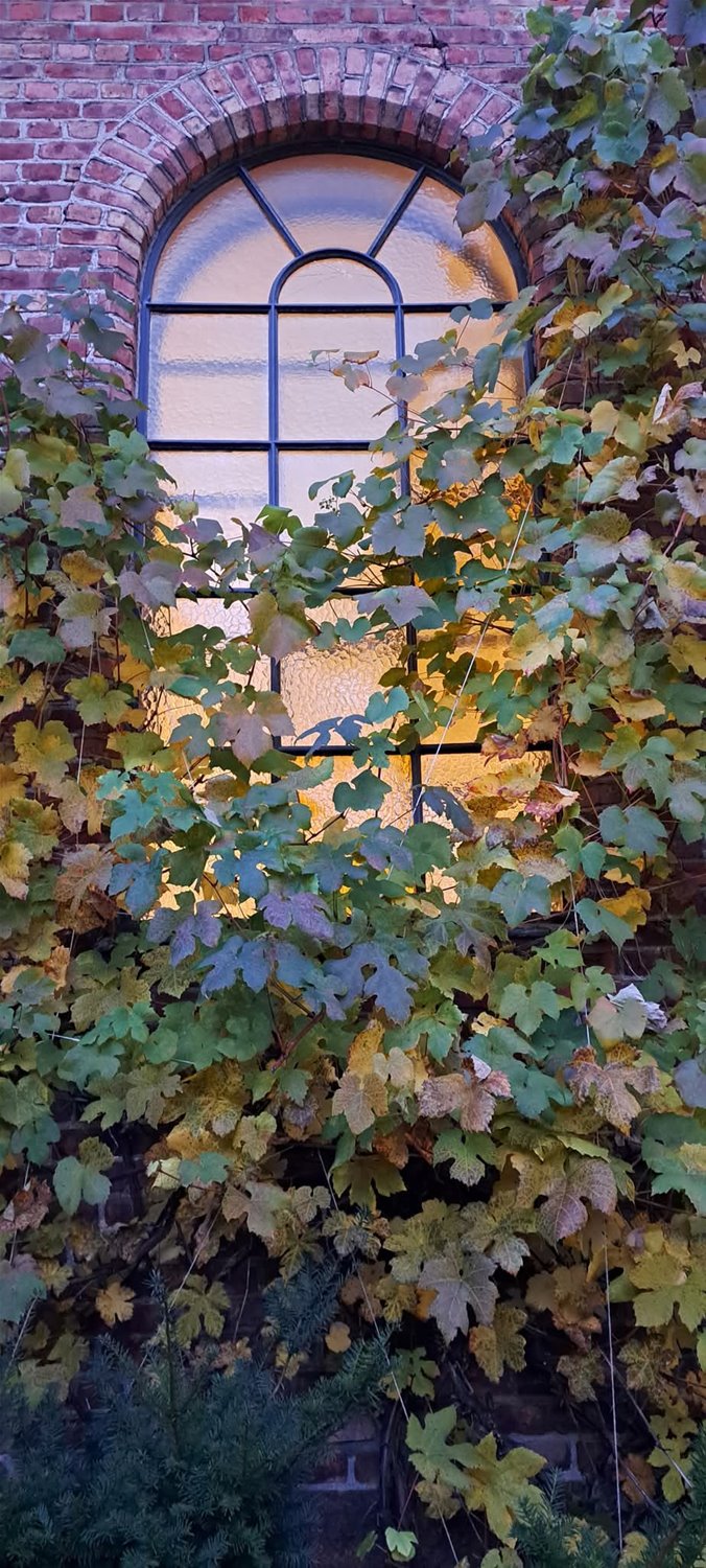 Åpen kirke og Ord for dagen