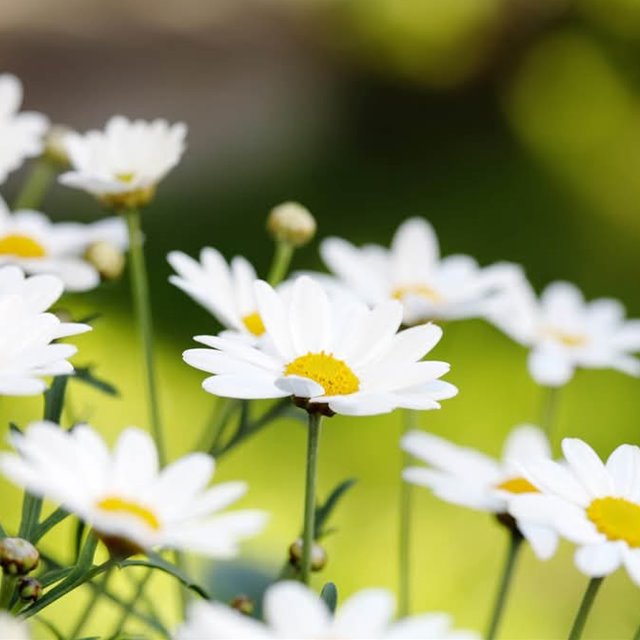 Søndag 18. mai 2025 Kl.11.00: GUDSTJENESTE