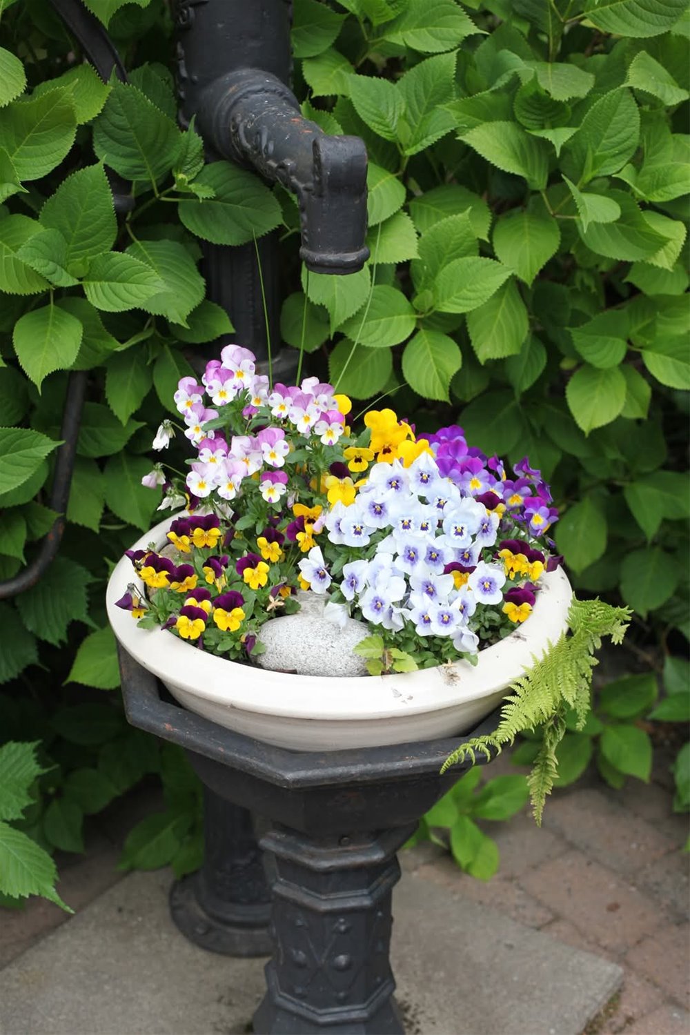 facebook_1749458910211_7337762504936350002