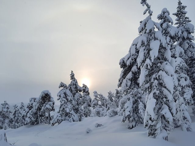 Søndag 11. januar Kl. 11.00: GUDSTJENESTE