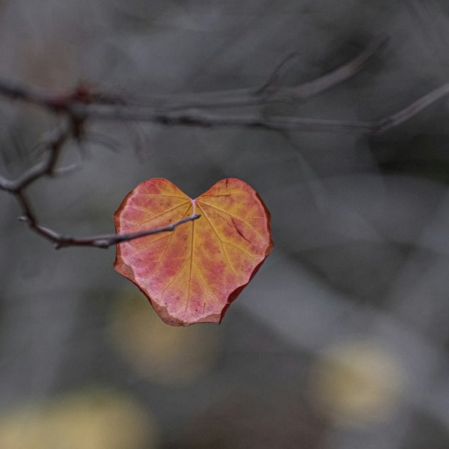 Søndag 25. januar KL. 11.00: GUDSTJENESTE