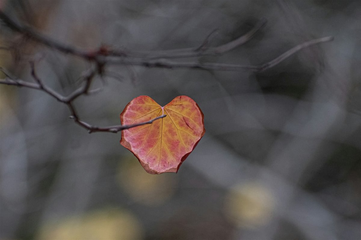 facebook_1768942296514_7419481750039062424