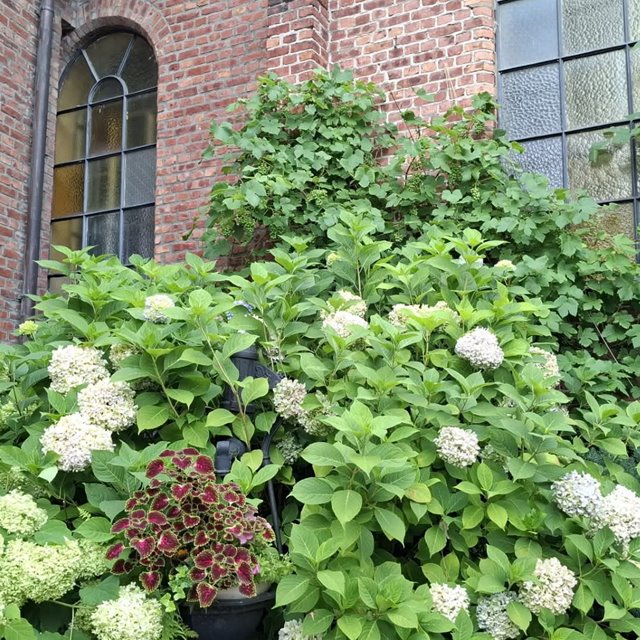 Søndag 14. juni Kl. 11.00