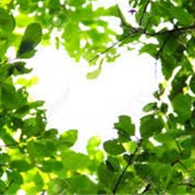 Søndag 29. juni Kl. 11.00: HØYTIDSGUDSTJENESTE I METODISTKIRKEN I OSLO