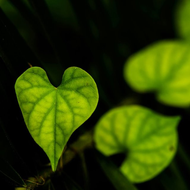 Søndag 9. november 2025 Kl. 11.00: DIN GUDSTJENESTE