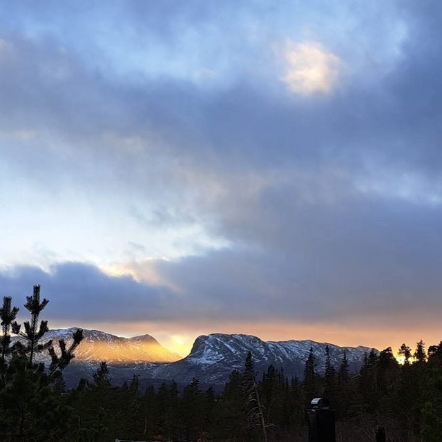 Søndag 23. november Kl. 11.00: GUDSTJENESTE